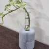 Planter Lamp – Modern Minimalist Ambient Decor with Glass Tube