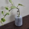 Planter Lamp – Modern Minimalist Ambient Decor with Glass Tube